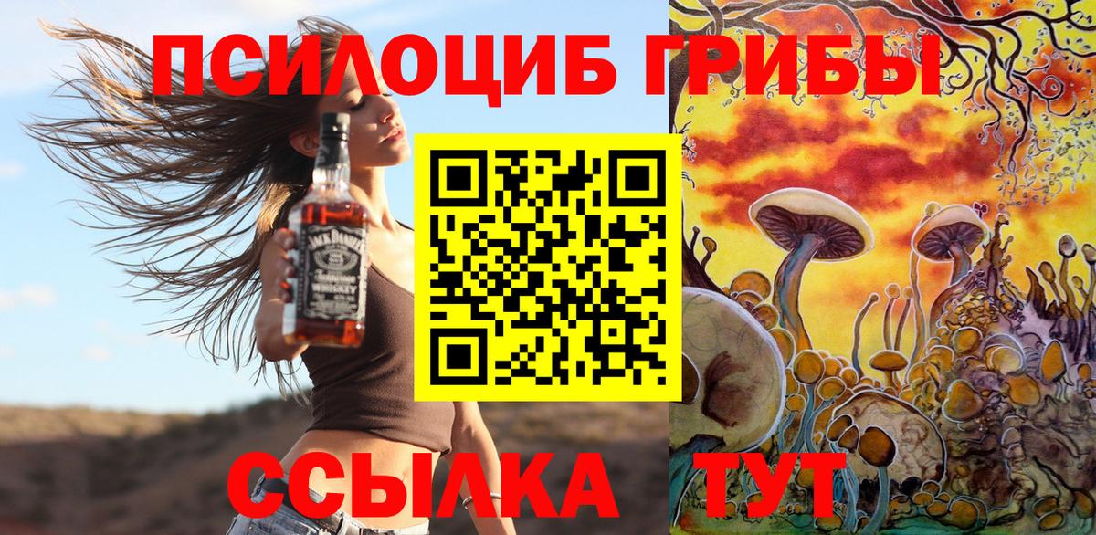 Псилоцибиновые грибы Cubensis Благовещенск