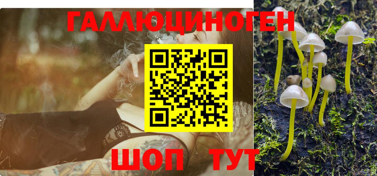 Галлюциногенные грибы мицелий  Галлюциногенные грибы GOLDEN TEACHER  Благовещенск  Вход с VPN 